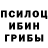 Псилоцибиновые грибы Magic Shrooms Aydogdy Atayev