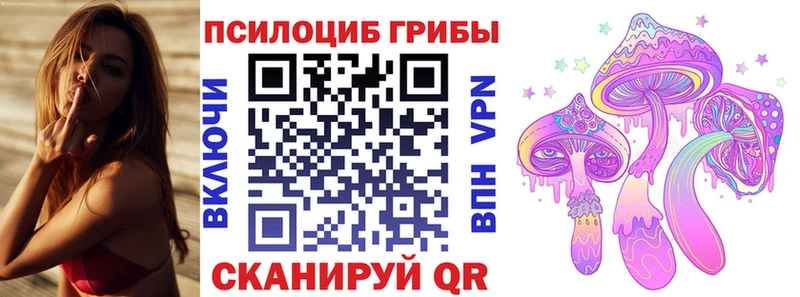 Галлюциногенные грибы Psilocybine cubensis Купить Судак